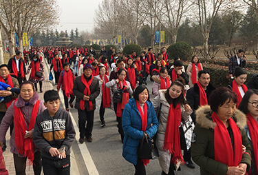 tϲc𱬾W(wng)y(tng)һoĸl(f)ϲct