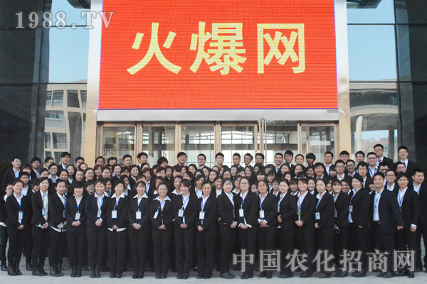 揮別2014,迎接2015新火爆!