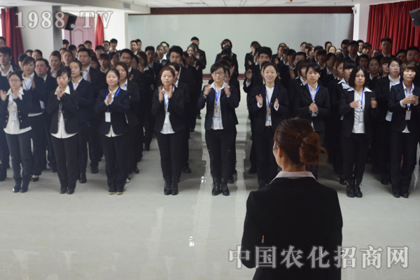 一個(gè)故事,兩種結(jié)局