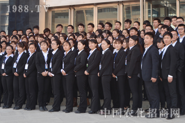 團(tuán)隊的力量有爆發(fā)力