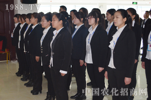 盡力而為還是全力以赴