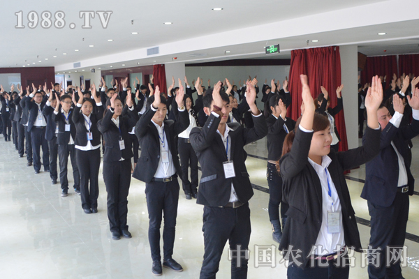 一個(gè)團(tuán)隊(duì)的五個(gè)基本要素:溝通、信任、慎重、換位、快樂