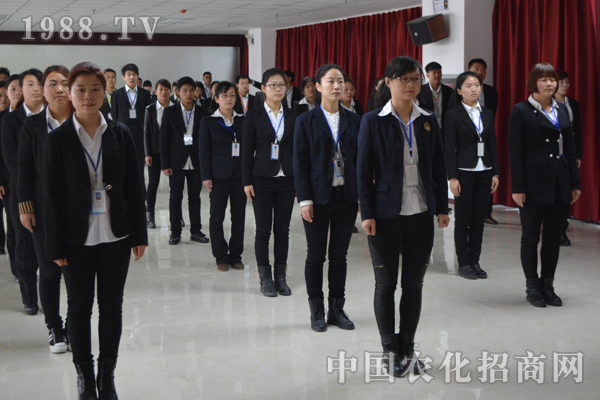 一個(gè)團(tuán)隊(duì)的五個(gè)基本要素:溝通、信任、慎重、換位、快樂