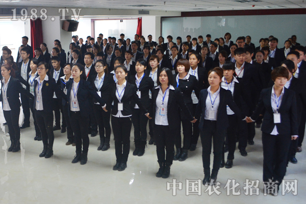 全力以赴 夢(mèng)想飛翔