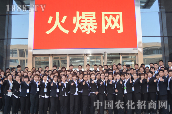 團隊協(xié)作共鑄火爆輝煌