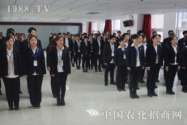 什么樣的團(tuán)隊(duì)才能夠所向披靡?