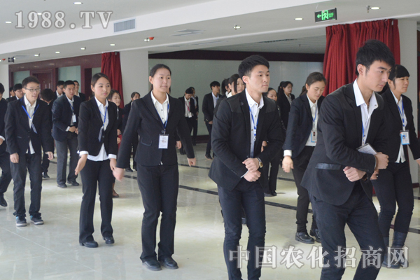 團(tuán)隊(duì)協(xié)作是雄鷹之翅