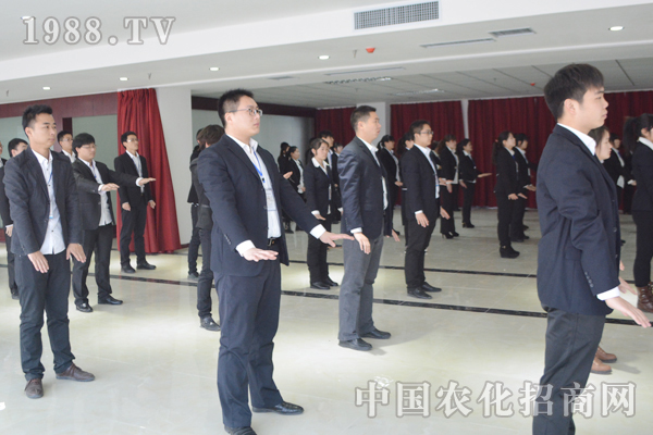 沒有完美的個人,只有完美的團隊