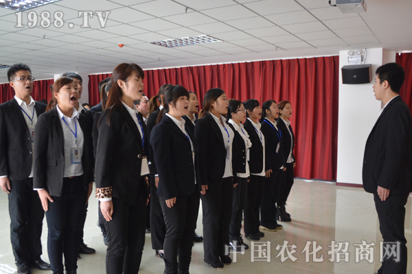 人生沒有盡力而為 只有全力以赴