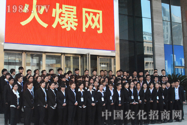 團(tuán)結(jié)協(xié)作