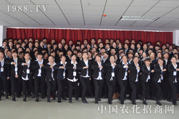 超越夢想的團隊 追求完美的自我