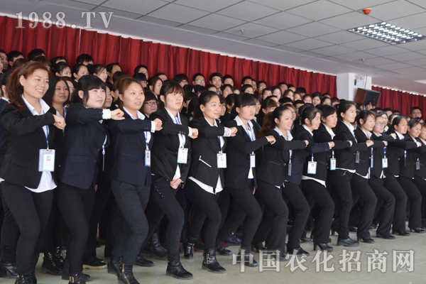 那些年 團(tuán)隊教給我的