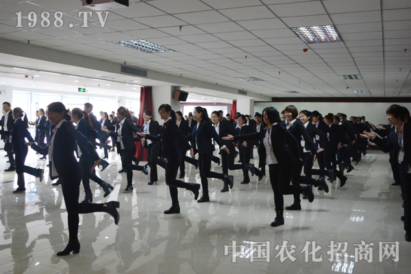 在創(chuàng)新和努力中前進(jìn)的火爆精英團(tuán)隊(duì)