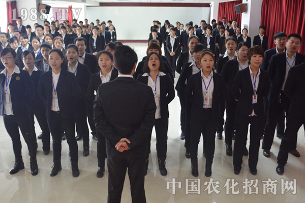 在創(chuàng)新和努力中前進(jìn)的火爆精英團(tuán)隊(duì)